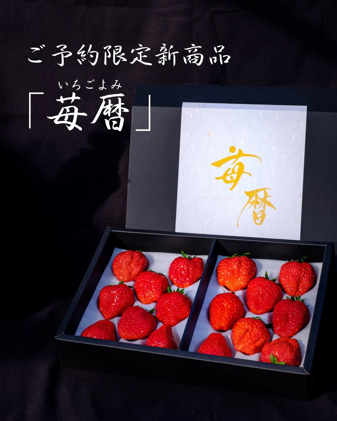 【新商品のお知らせ】